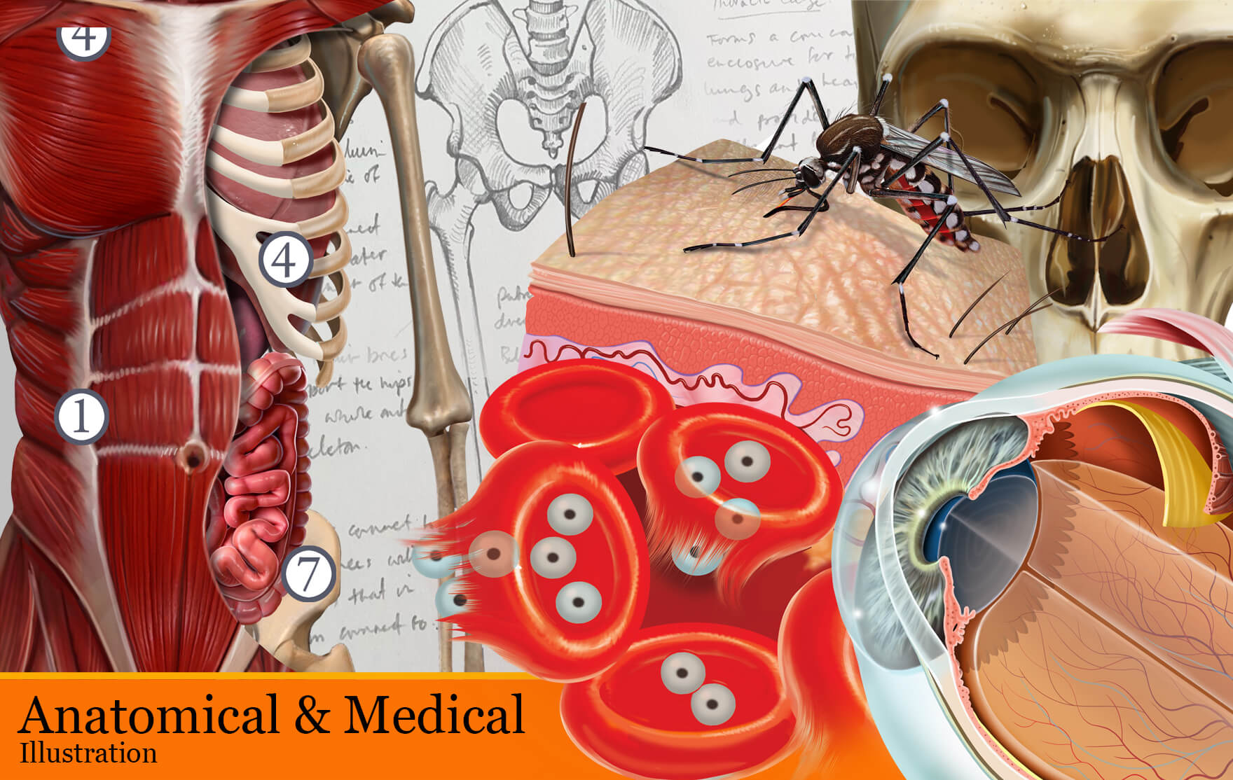 SCIENTIFIC AND MEDICAL